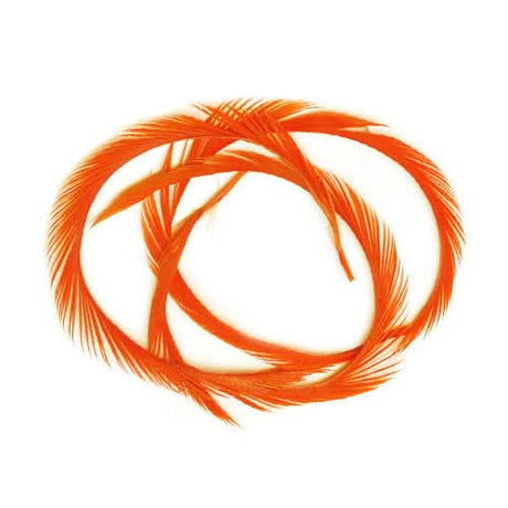 Stripped Goose Biots (Biot d`oca) - Go - Fish