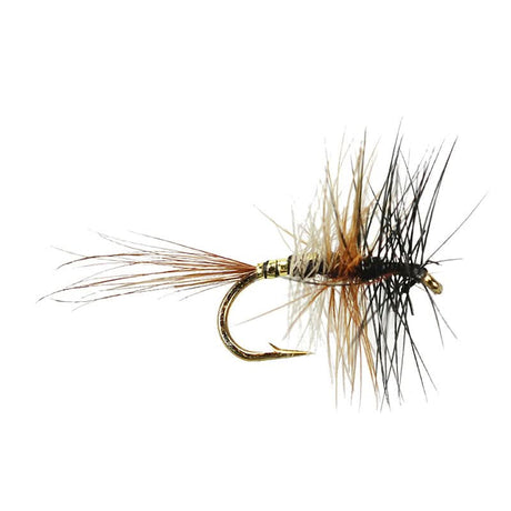 Traun Tricolor - Go - Fish