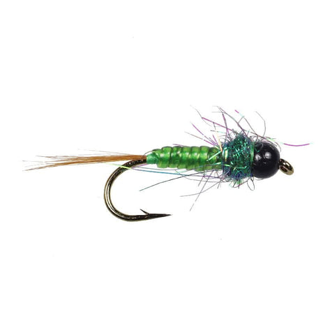 Tungsten Olive Caddis - Go - Fish