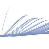 Veniard Turkey Biots Blue dun