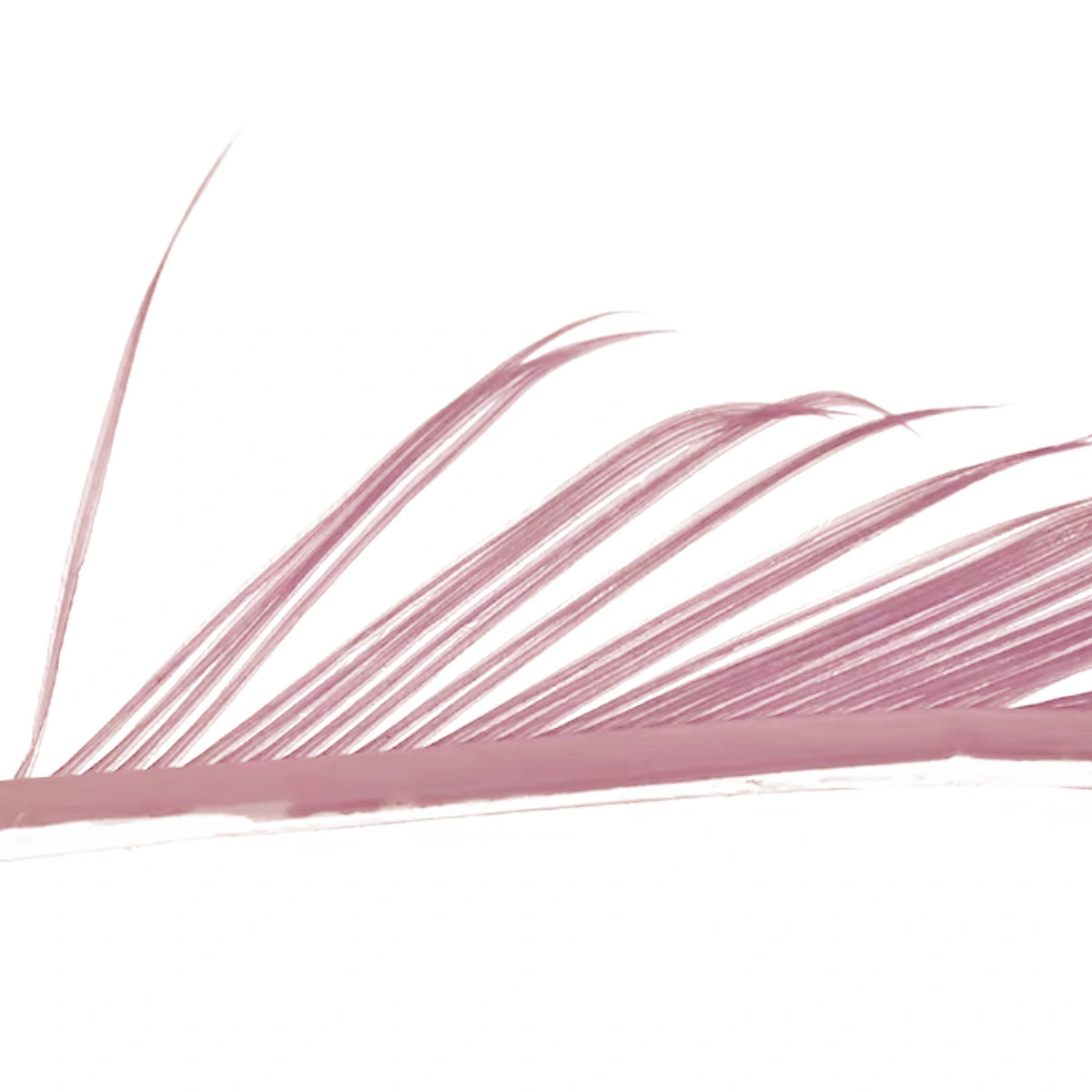 Hareline TURKEY BIOT QUILLS - Eräkontio