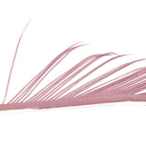 Veniard Turkey Biots hendrickson pink