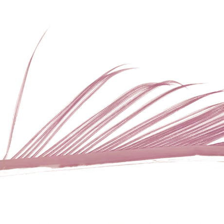 Veniard Turkey Biots hendrickson pink