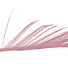 Veniard Turkey Biots hendrickson pink