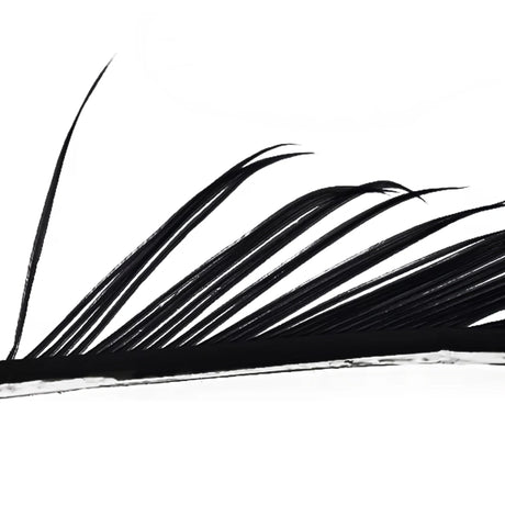 Veniard Turkey Biots black