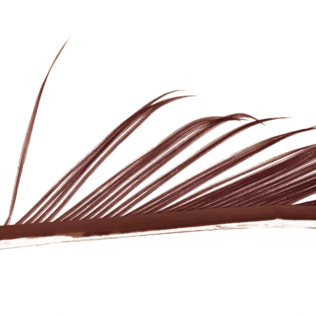 Veniard Turkey Biots rusty brown