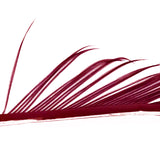 Veniard Turkey Biots red