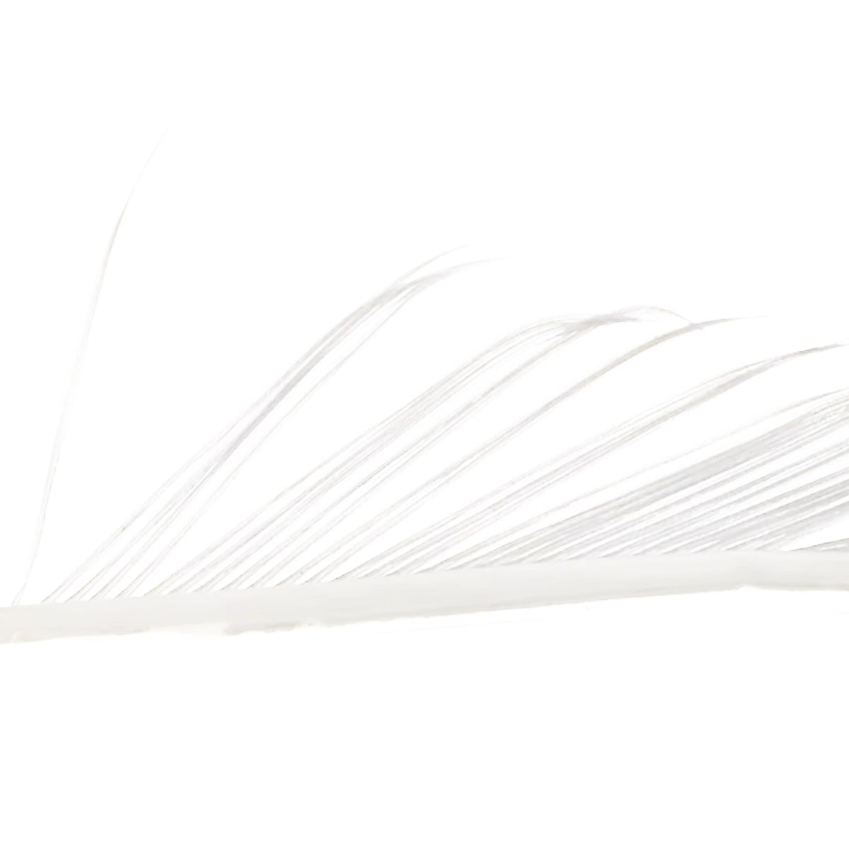 Veniard Turkey Biots white