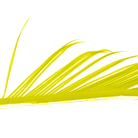 Veniard Turkey Biots yellow