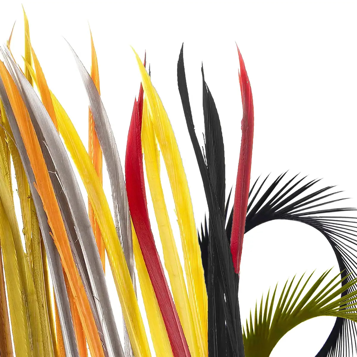 Veniard Turkey Biots