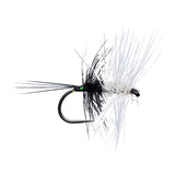 White Blue Dun Palmer BL