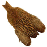 Whiting Brahma Hen Cape - Go - Fish