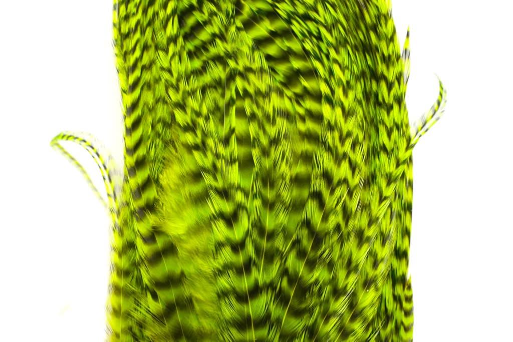 Whiting Bugger Pack │ collo di gallo per streamer - Go - Fish