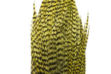 Whiting Bugger Pack │ collo di gallo per streamer - Go - Fish