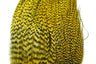 Whiting Bugger Pack │ collo di gallo per streamer - Go - Fish