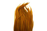 Whiting Bugger Pack │ collo di gallo per streamer - Go - Fish