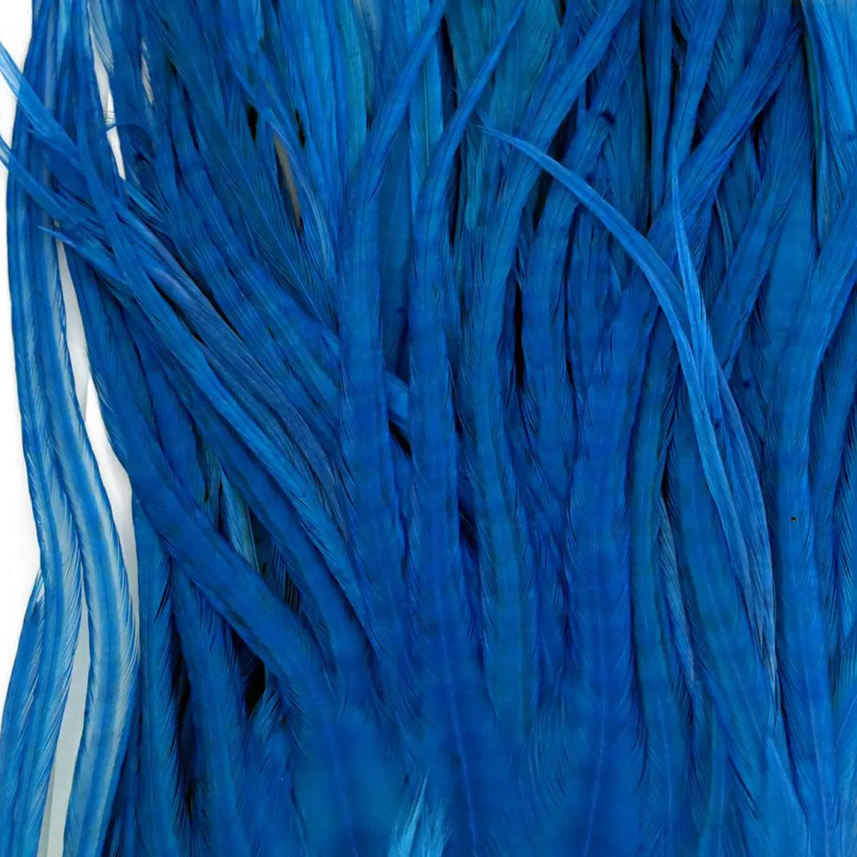 Whiting Bugger Pack Kingfischer Blue