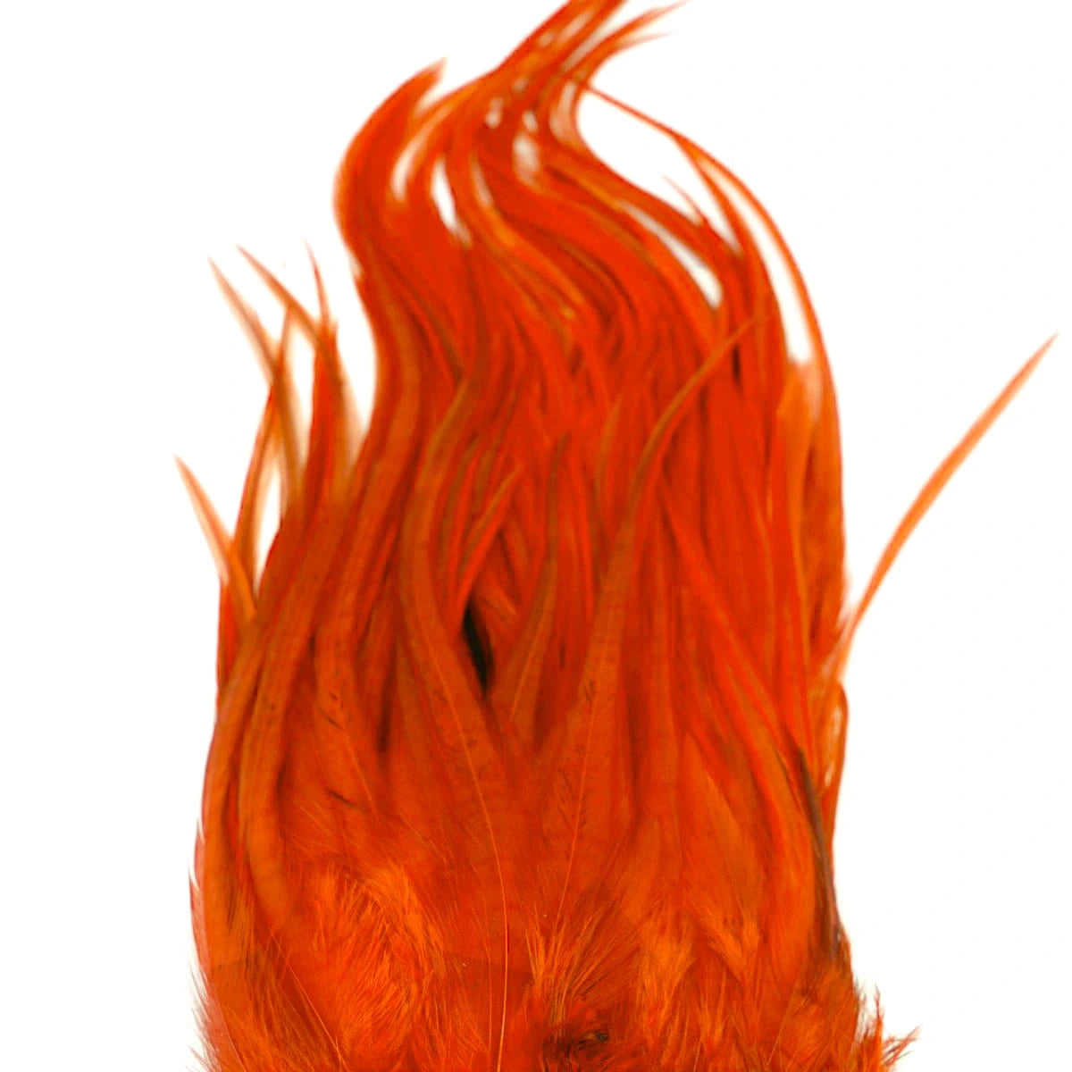 Whiting Bugger Pack white dyed orange