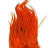 Whiting Bugger Pack white dyed orange