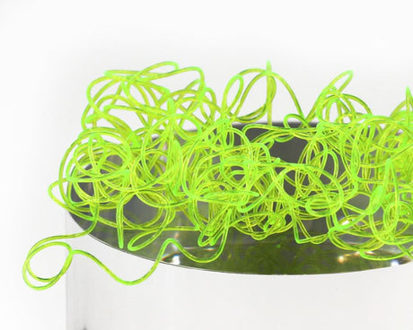 Wiggly Worms - Go - Fish