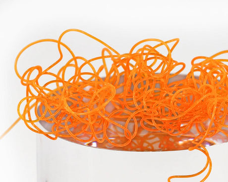 Wiggly Worms - Go - Fish