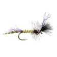 Wikes Donatello - Go - Fish