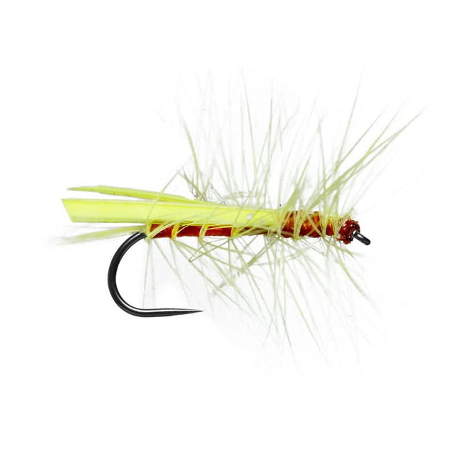 Yellow Sally Stone BL - Go - Fish
